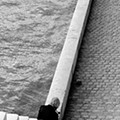 Man with pigeons, River Seine, Paris Fred Lyon.png